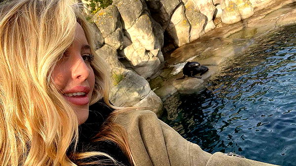 surfsterre image ~ Altpins