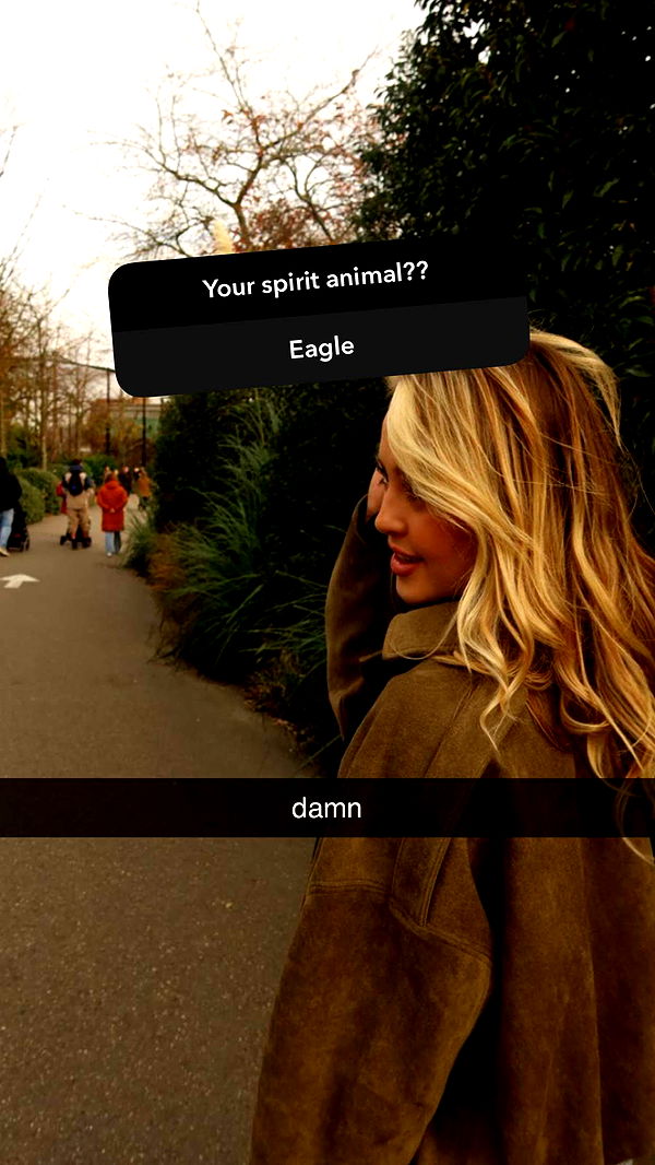 surfsterre image ~ Altpins