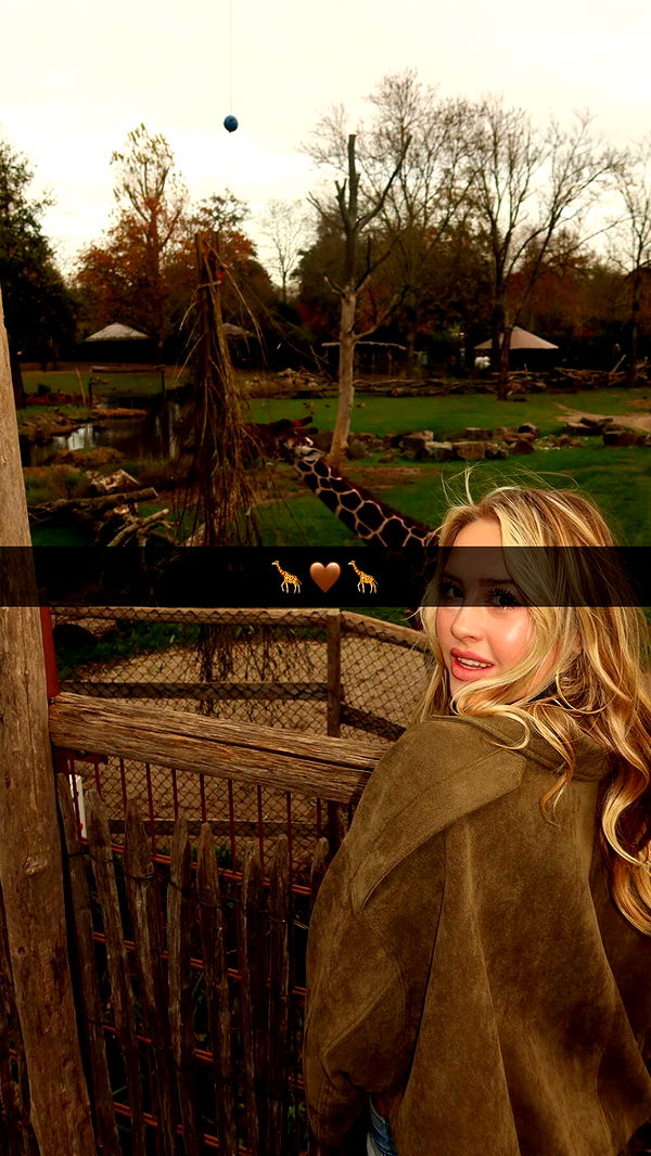 surfsterre image ~ Altpins