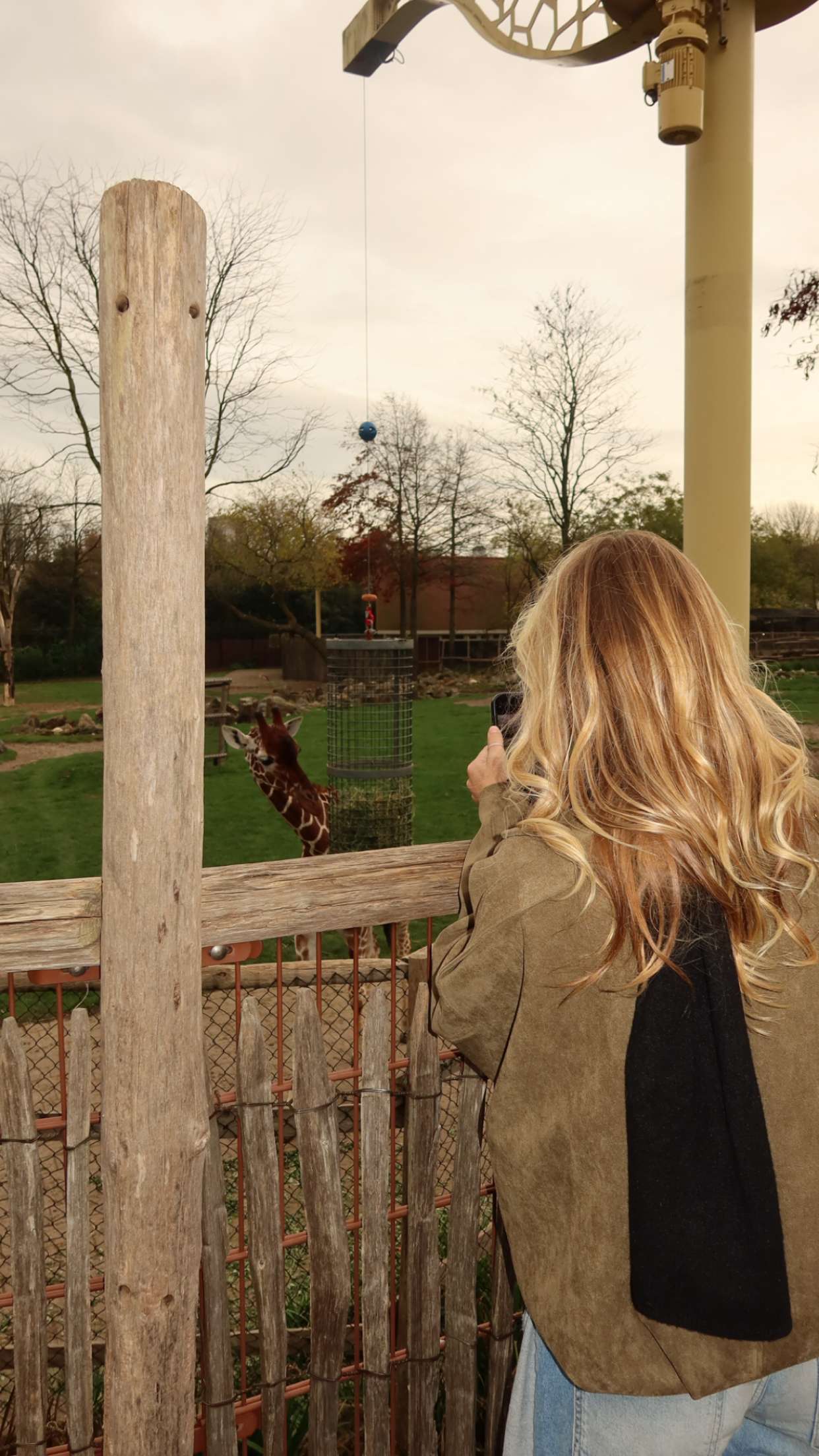 surfsterre snapchat image archive image