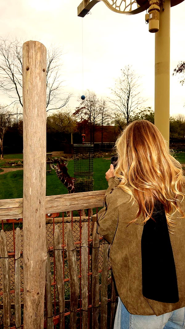 surfsterre image ~ Altpins