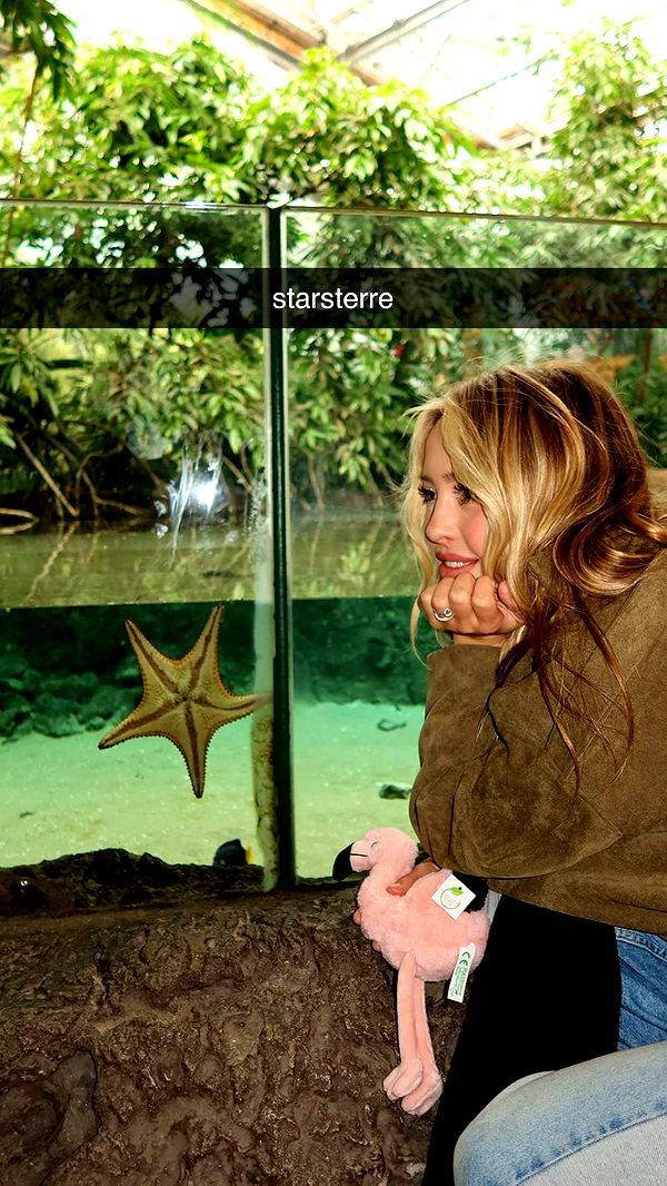 surfsterre image ~ Altpins