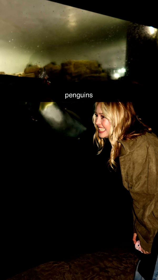 surfsterre image ~ Altpins