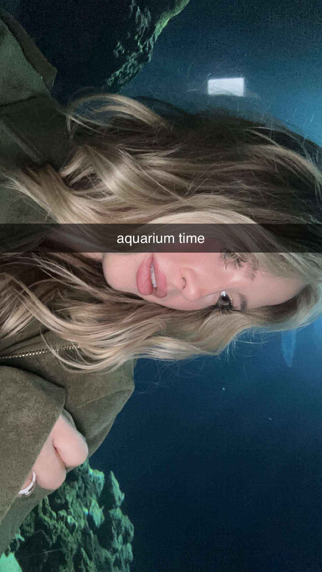 surfsterre snapchat image archive image