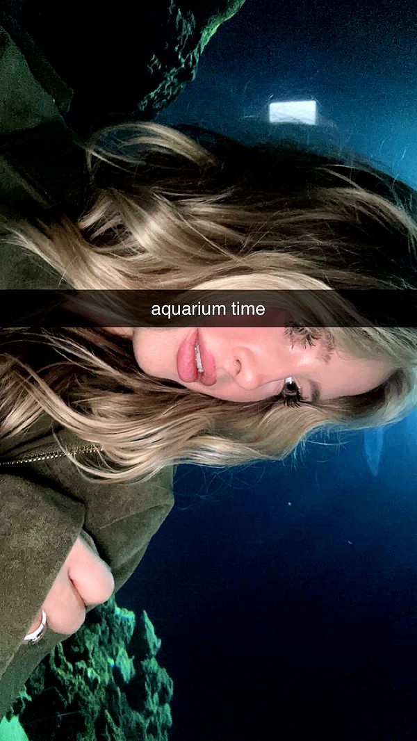 surfsterre image ~ Altpins