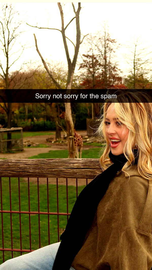 surfsterre image ~ Altpins