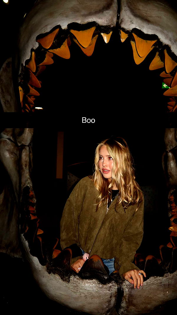 surfsterre image ~ Altpins