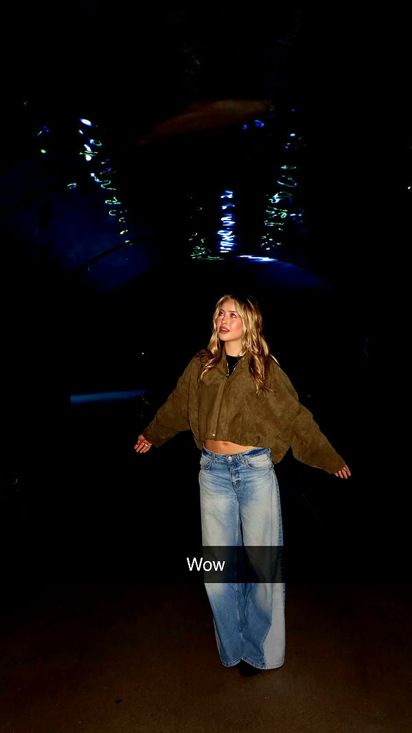 surfsterre image ~ Altpins