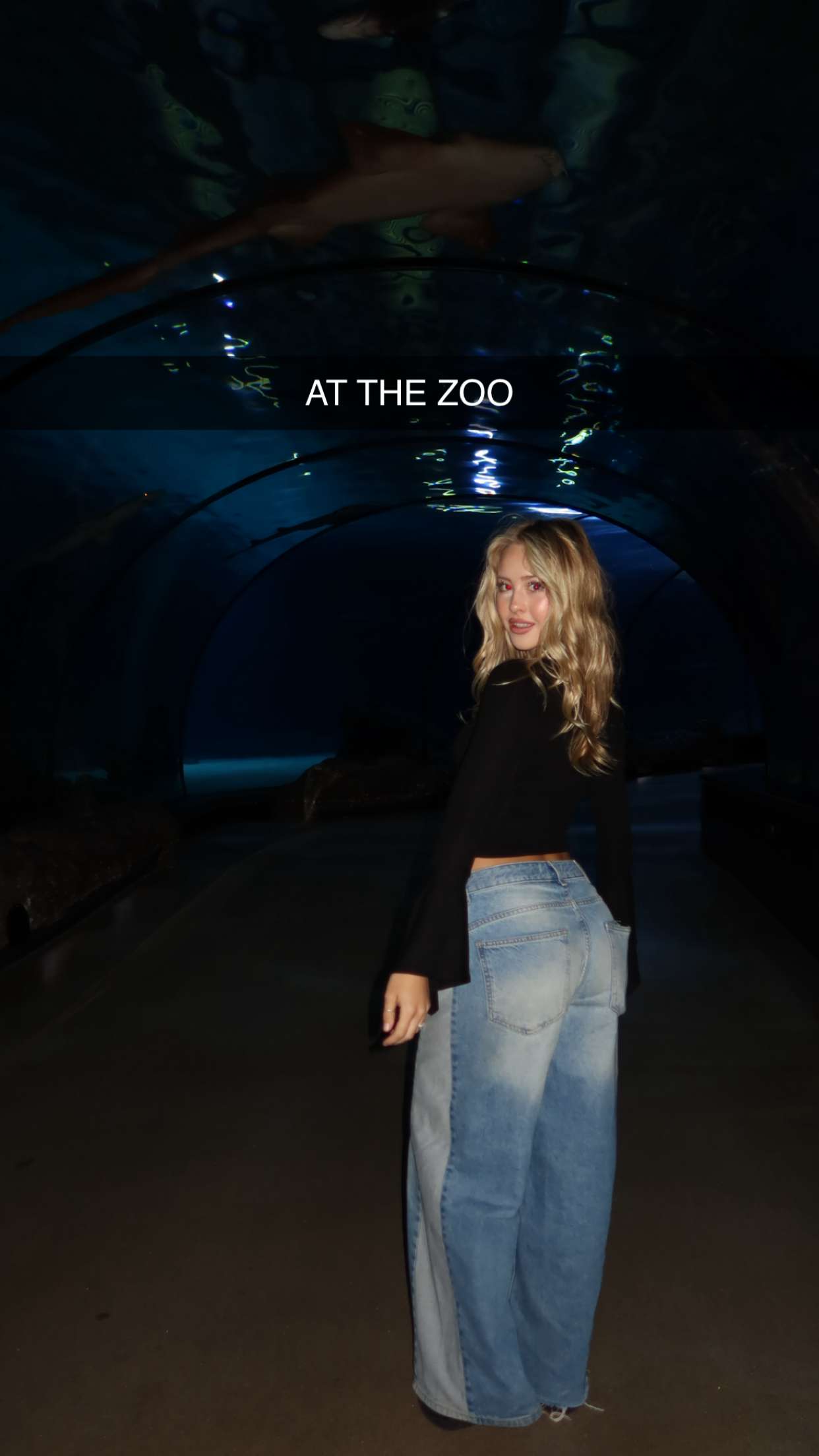 surfsterre snapchat image archive image