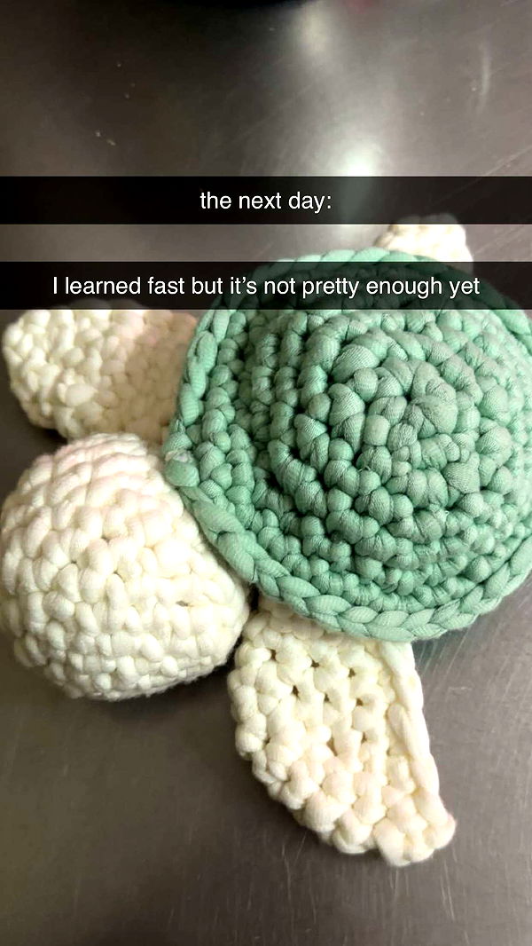 surfsterre image ~ Altpins