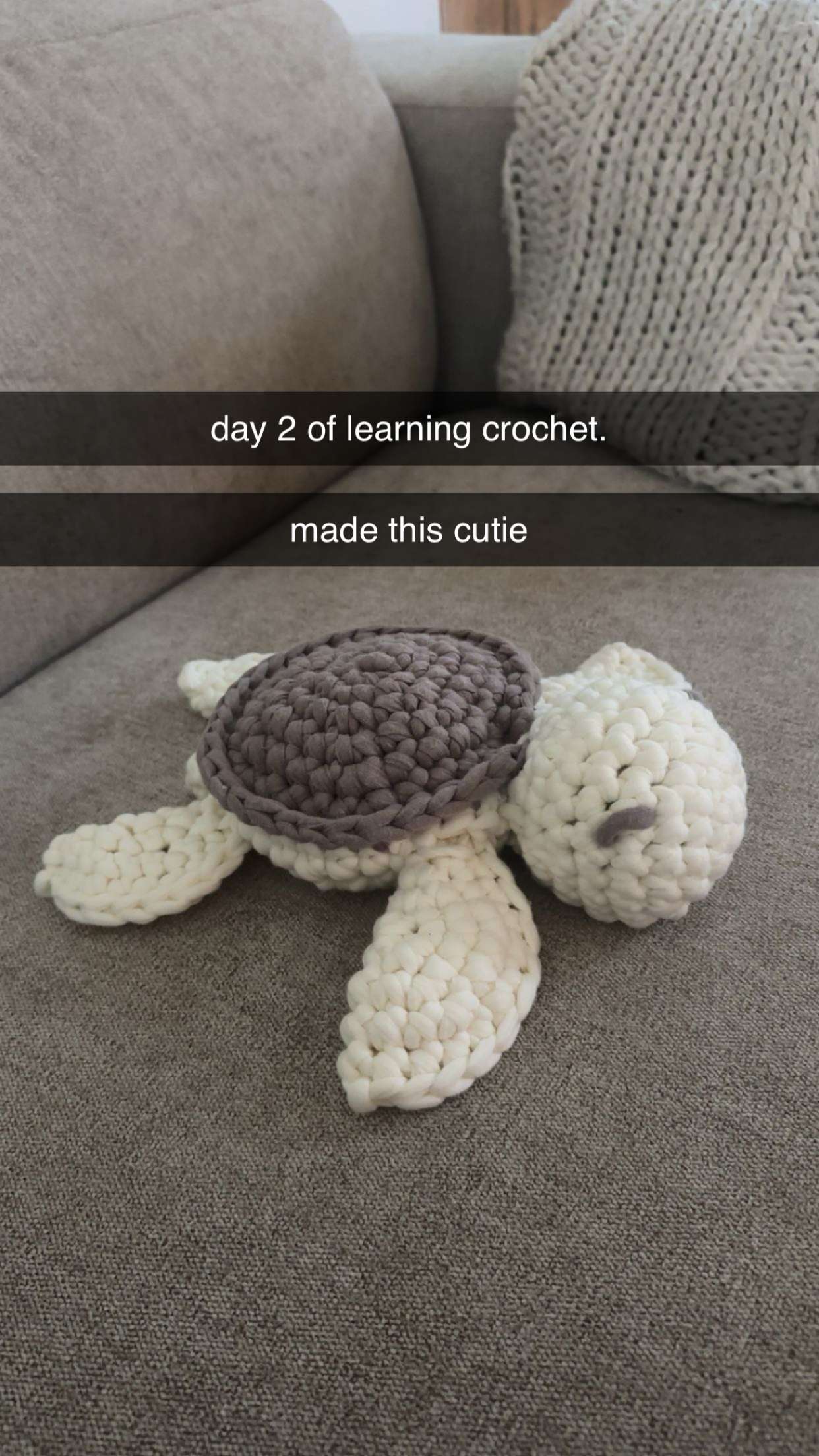 surfsterre snapchat image archive image