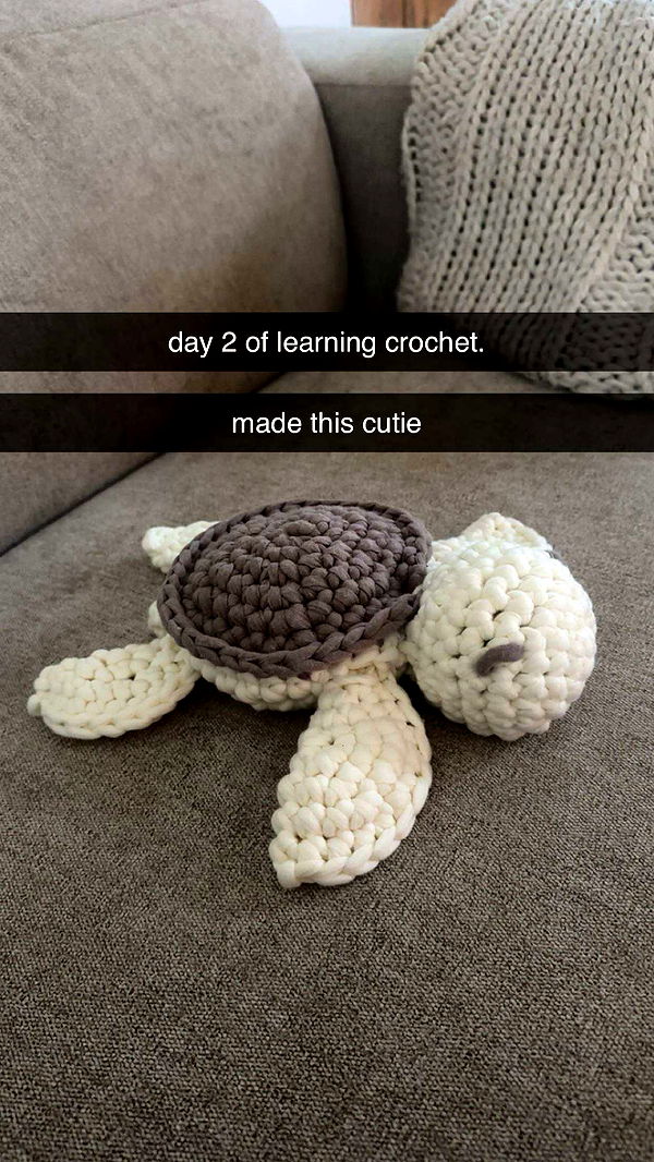 surfsterre image ~ Altpins