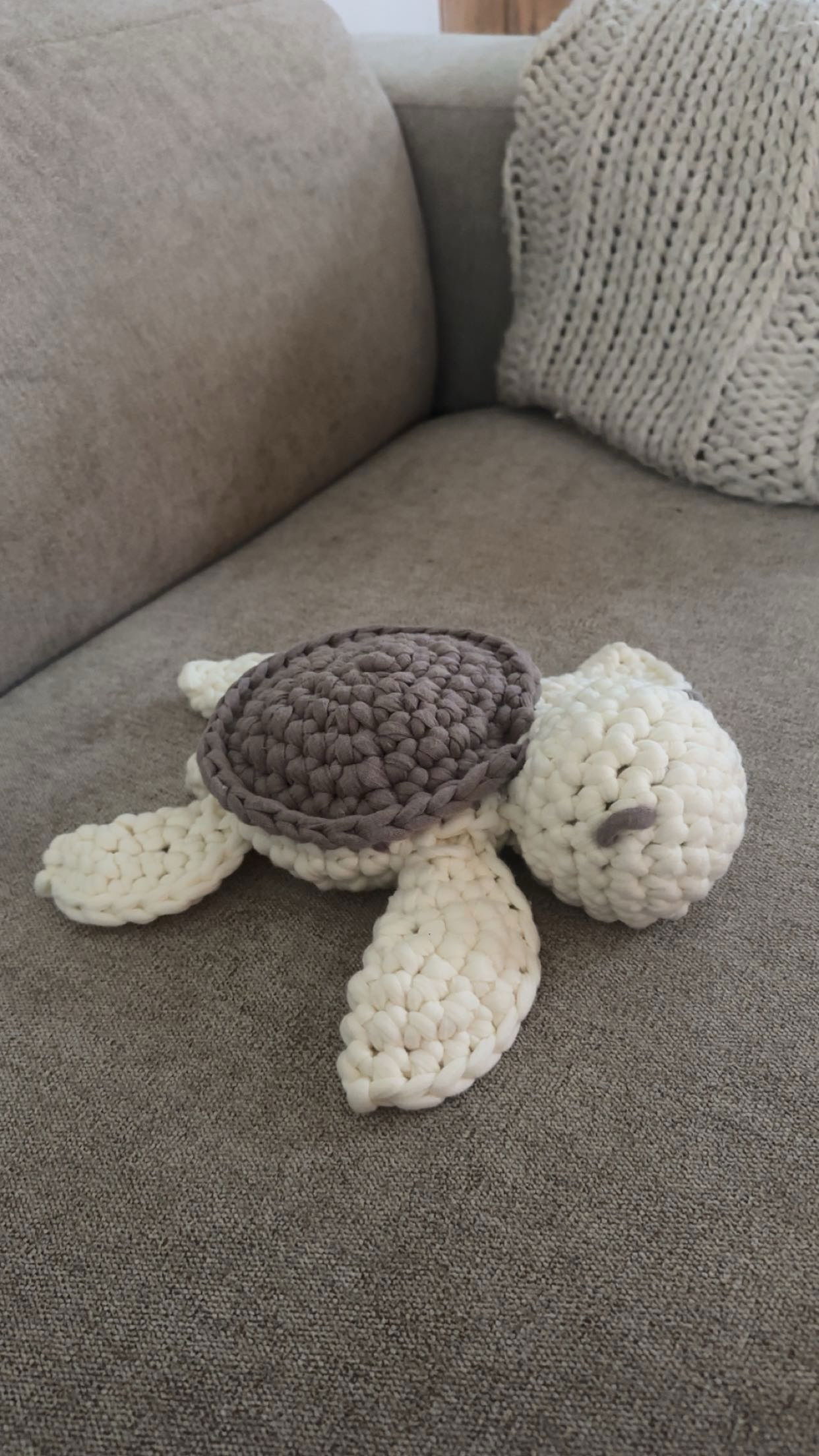 surfsterre snapchat image archive image