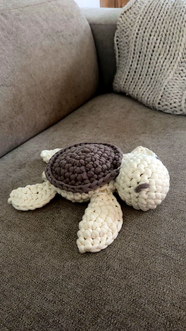 surfsterre image ~ Altpins