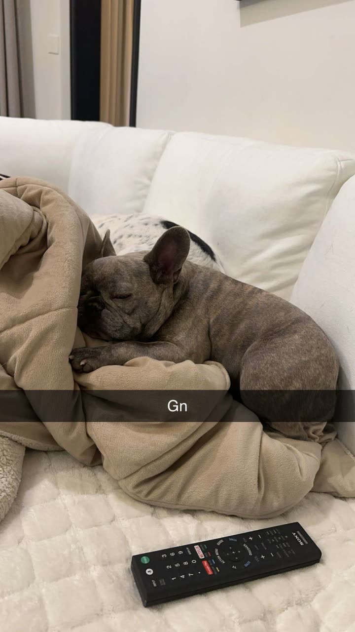 syd.shmitty snapchat image archive image