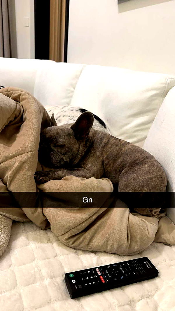 syd.shmitty image ~ Altpins