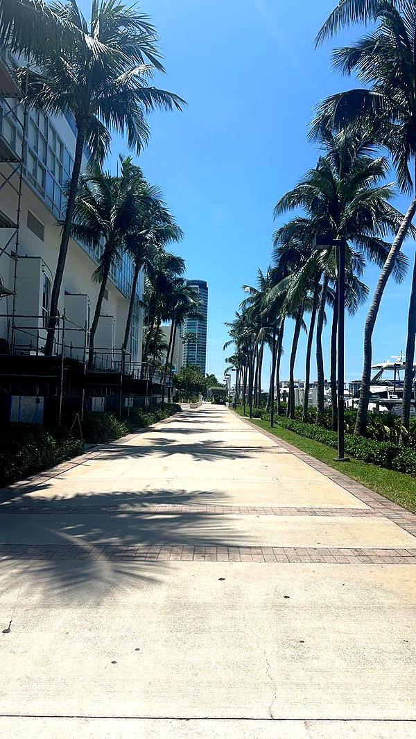 syd.shmitty image ~ Altpins