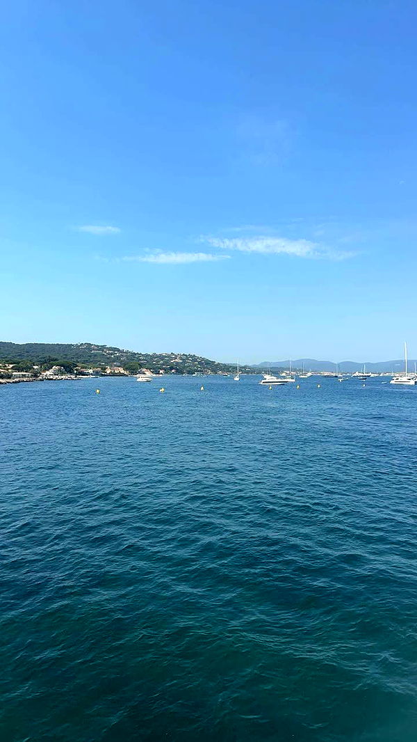 syd.shmitty image ~ Altpins