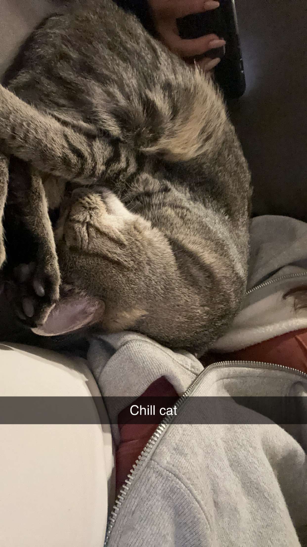 syd.shmitty snapchat image archive image