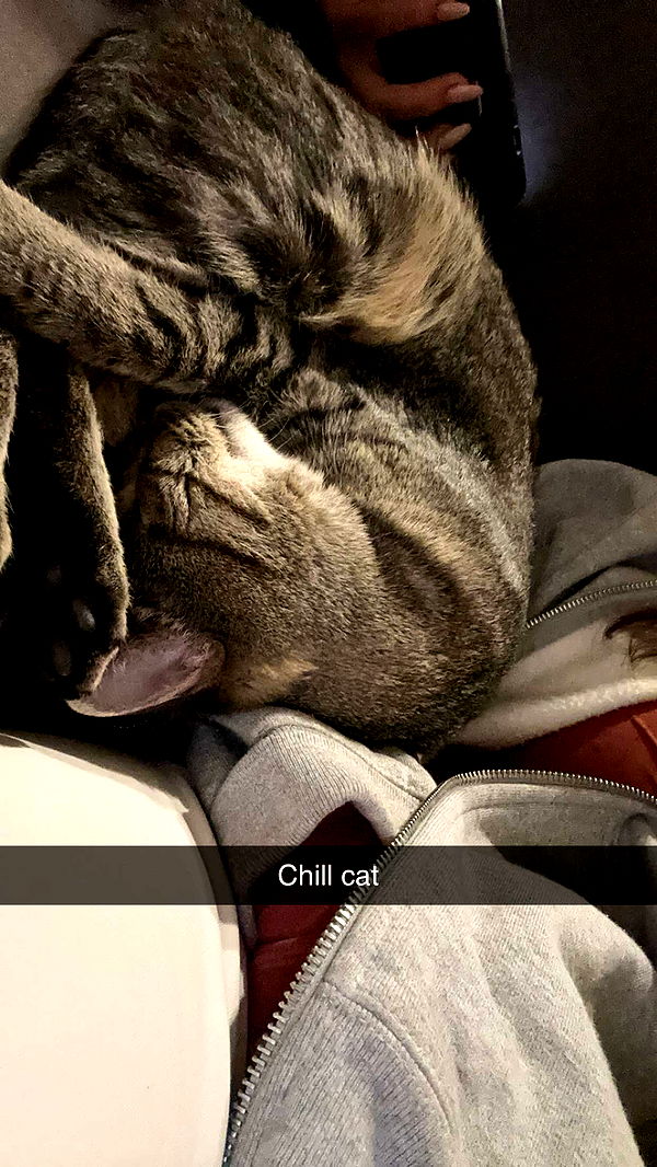 syd.shmitty image ~ Altpins