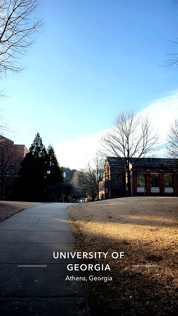 syd.shmitty image ~ Altpins