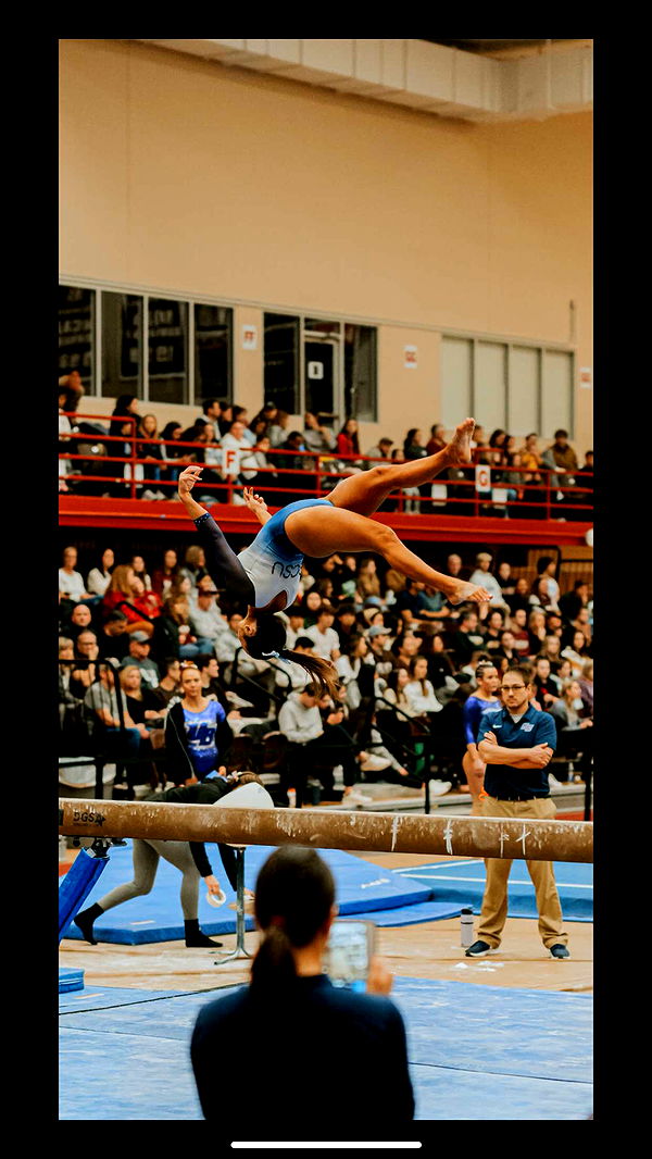 syd.shmitty image ~ Altpins