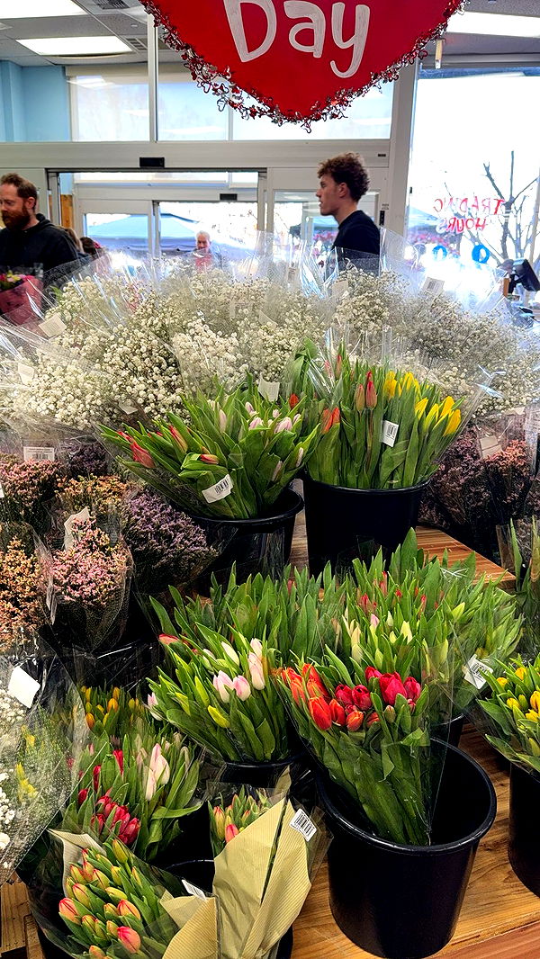 syd.shmitty image ~ Altpins