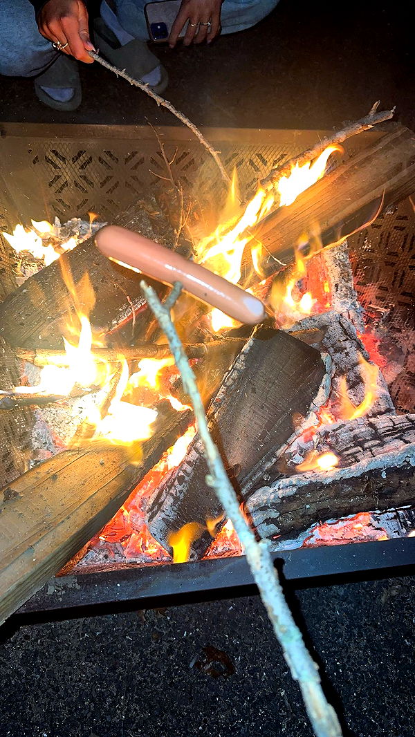 syd.shmitty image ~ Altpins