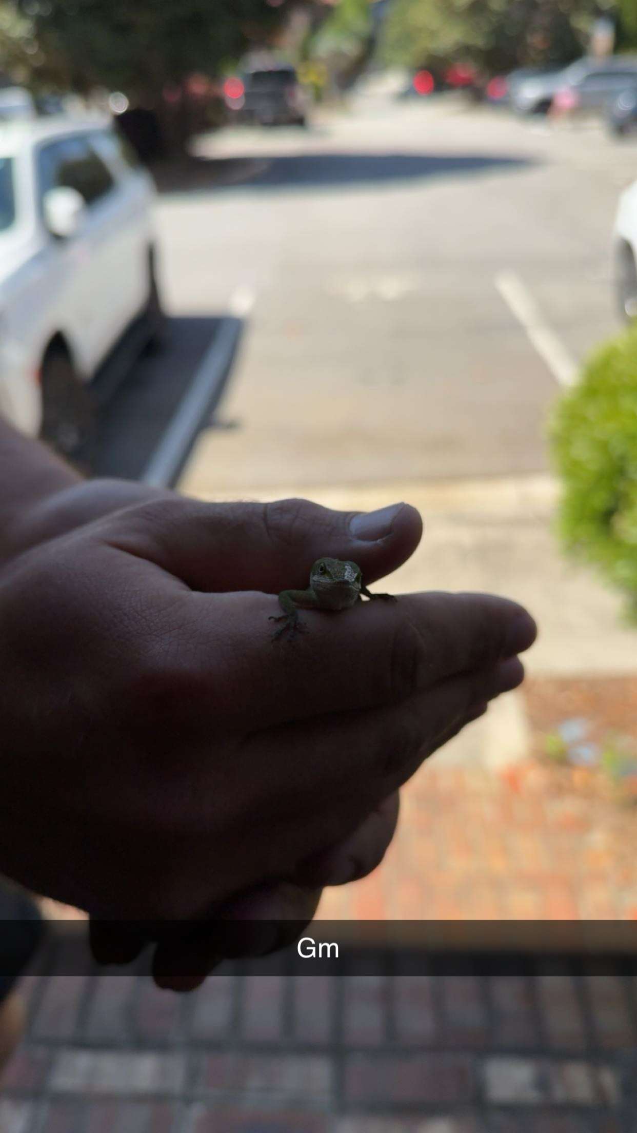 syd.shmitty snapchat image archive image