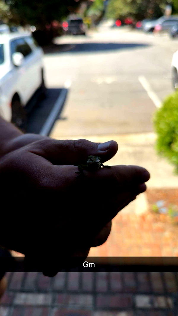 syd.shmitty image ~ Altpins