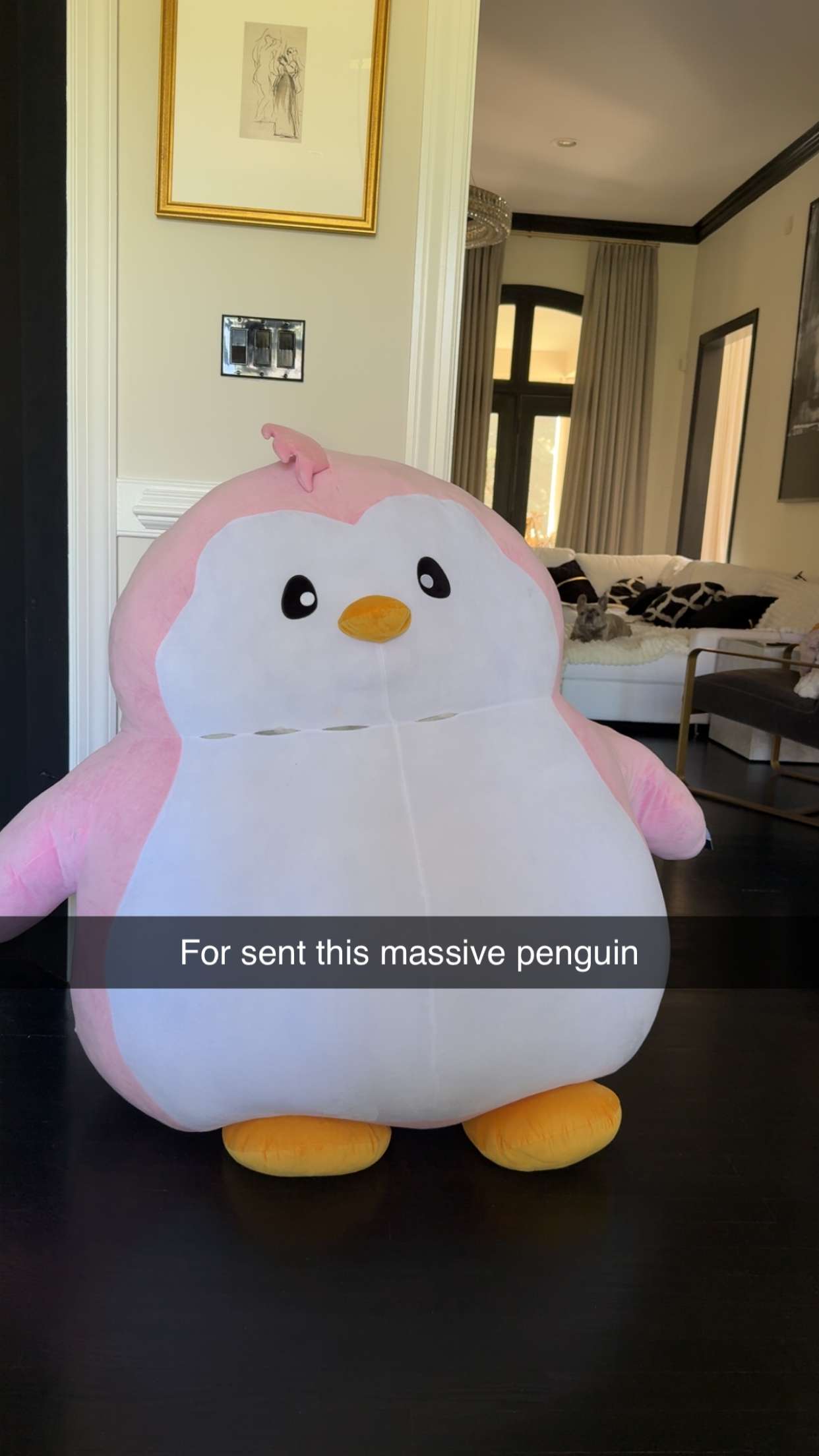 syd.shmitty snapchat image archive image