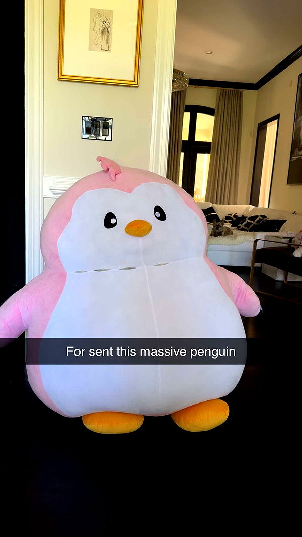 syd.shmitty image ~ Altpins