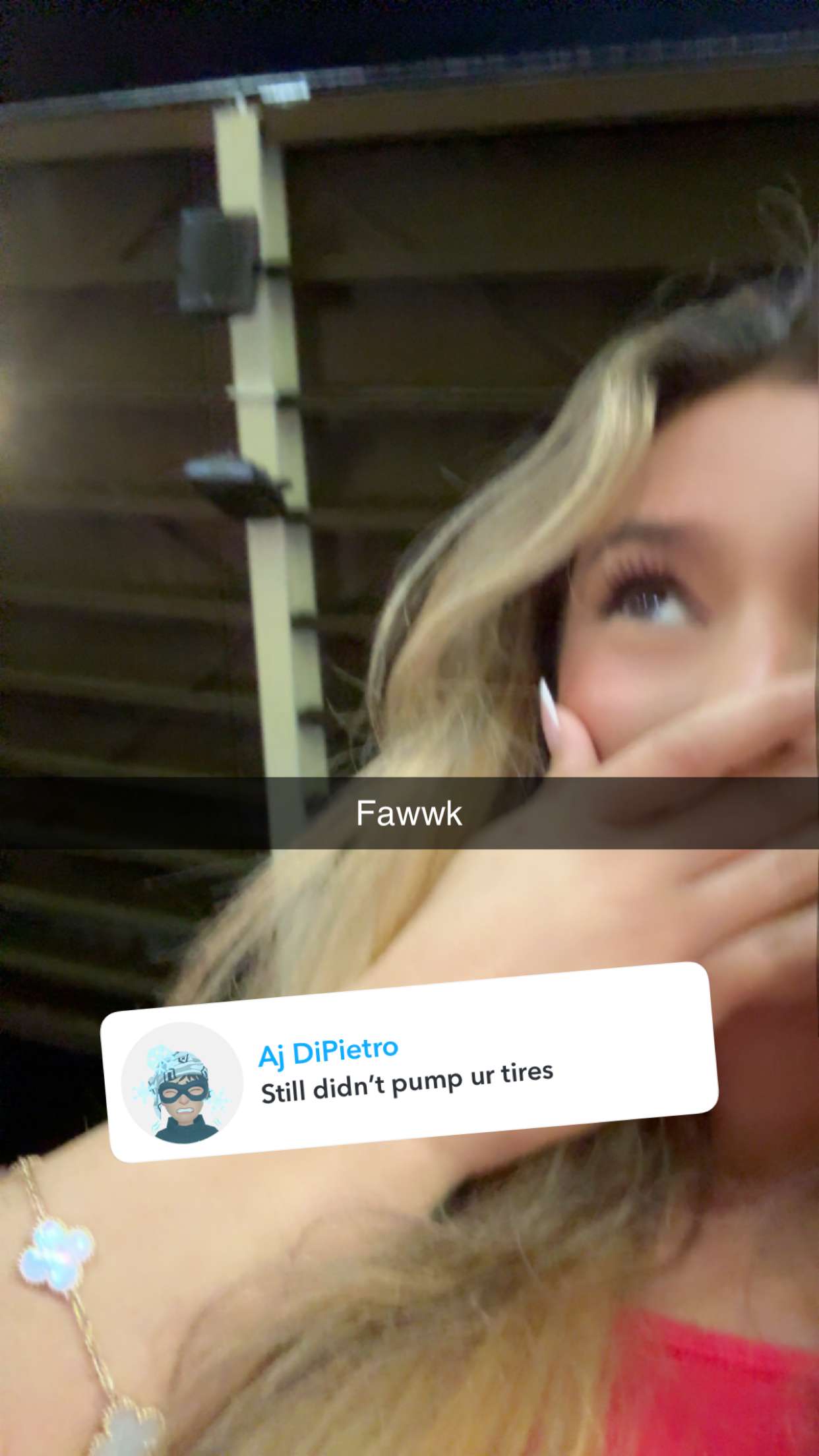 syd.shmitty snapchat image archive image