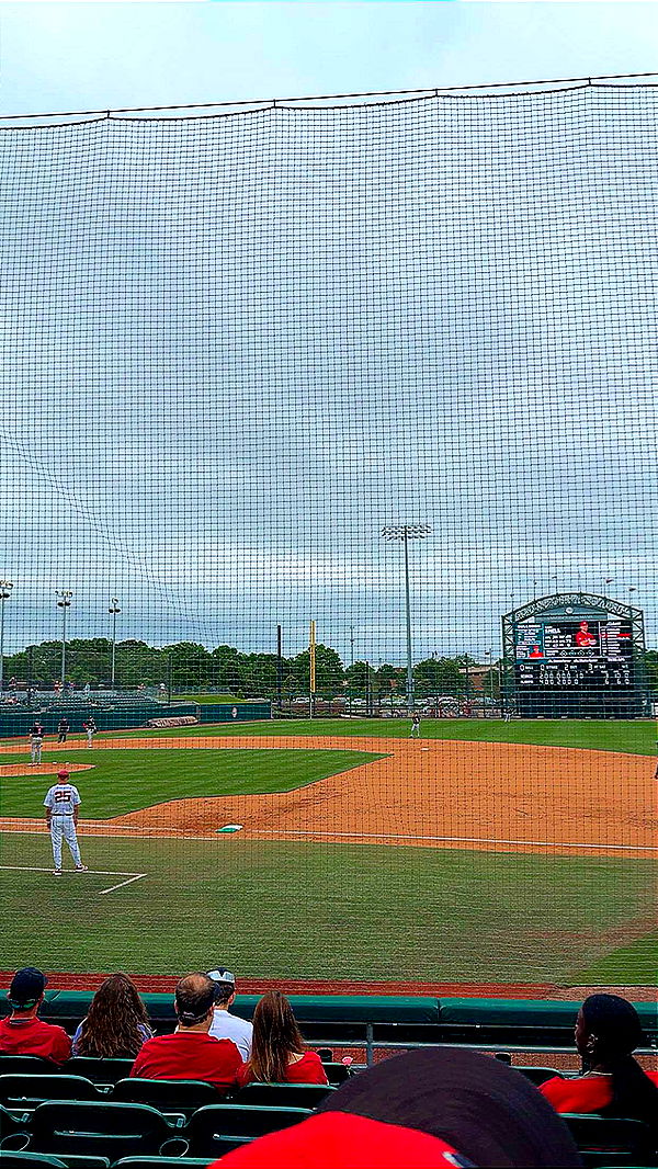 syd.shmitty image ~ Altpins