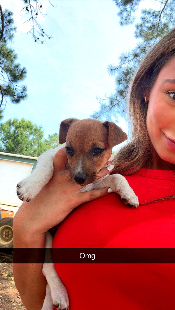 syd.shmitty image ~ Altpins