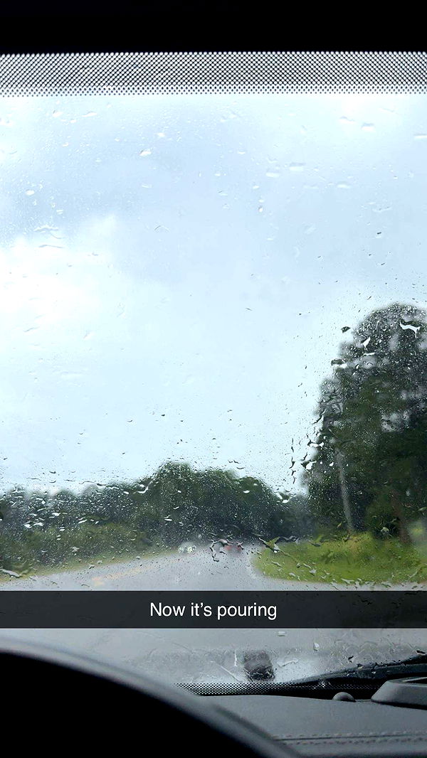 syd.shmitty image ~ Altpins