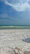 syd.shmitty Altpins Profile Picture