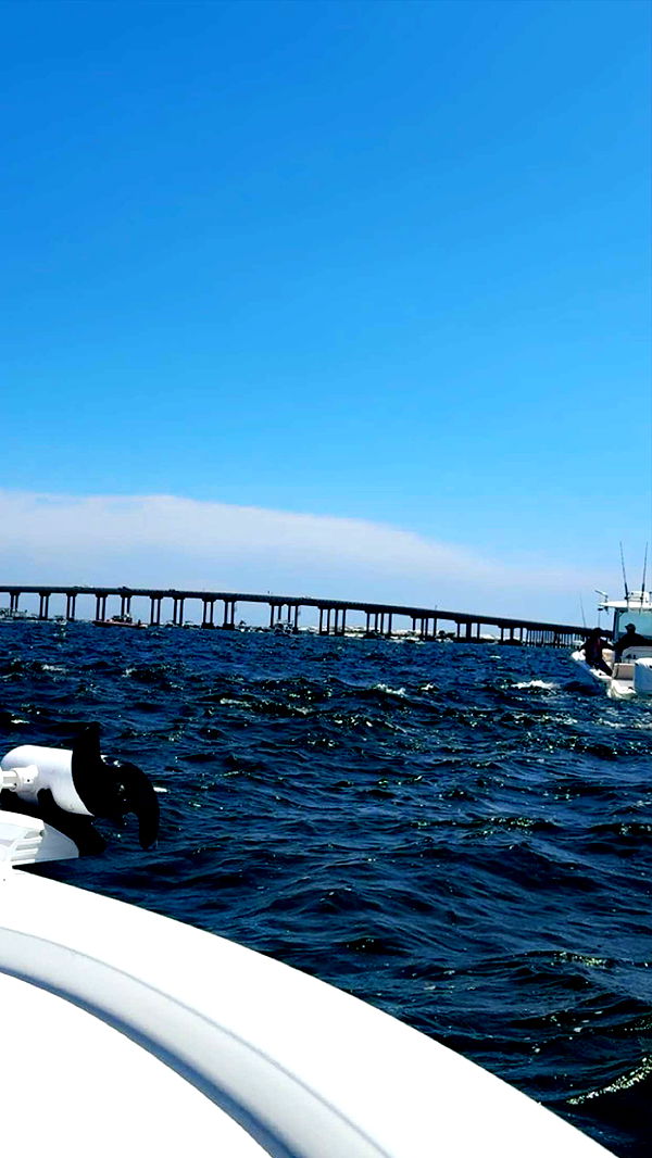 syd.shmitty image ~ Altpins