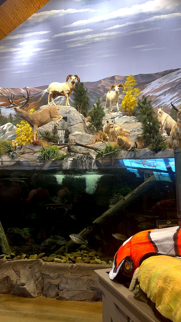 syd.shmitty image ~ Altpins