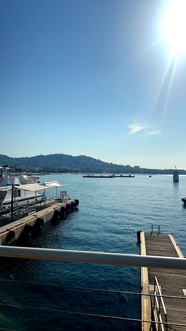 syd.shmitty image ~ Altpins