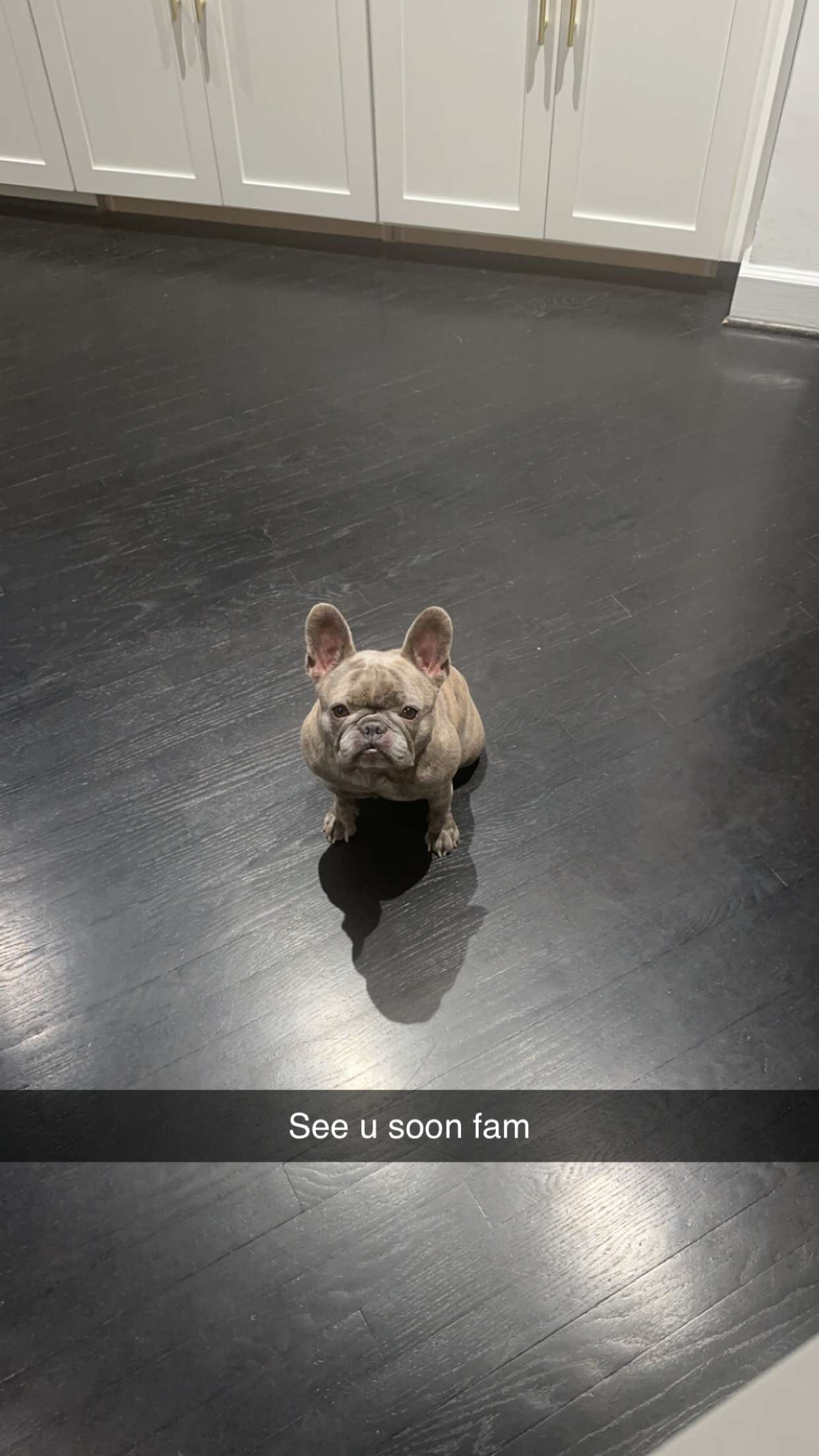 syd.shmitty snapchat image archive image