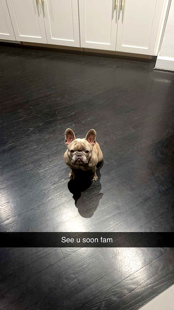 syd.shmitty image ~ Altpins