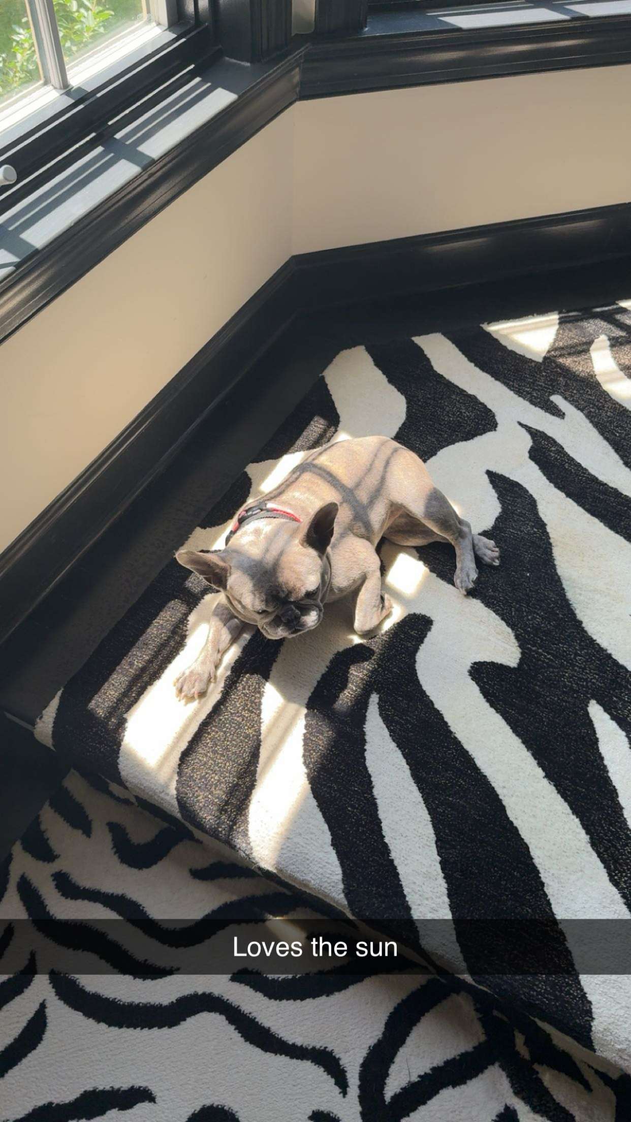 syd.shmitty snapchat image archive image