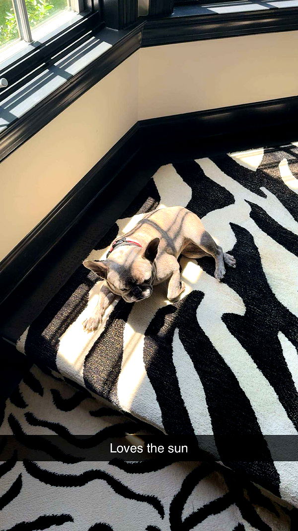 syd.shmitty image ~ Altpins