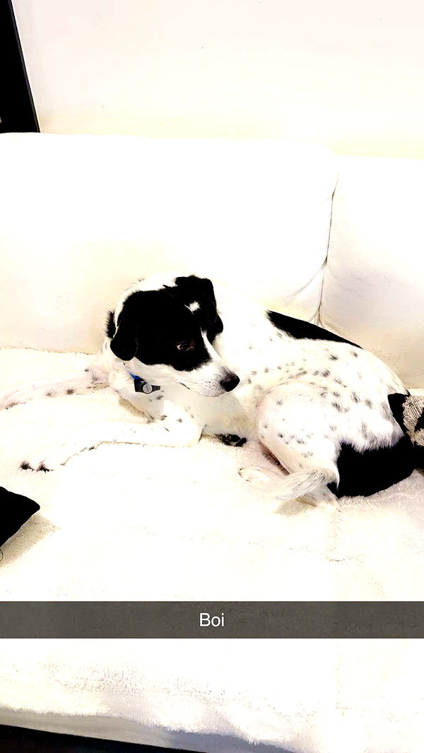 syd.shmitty image ~ Altpins