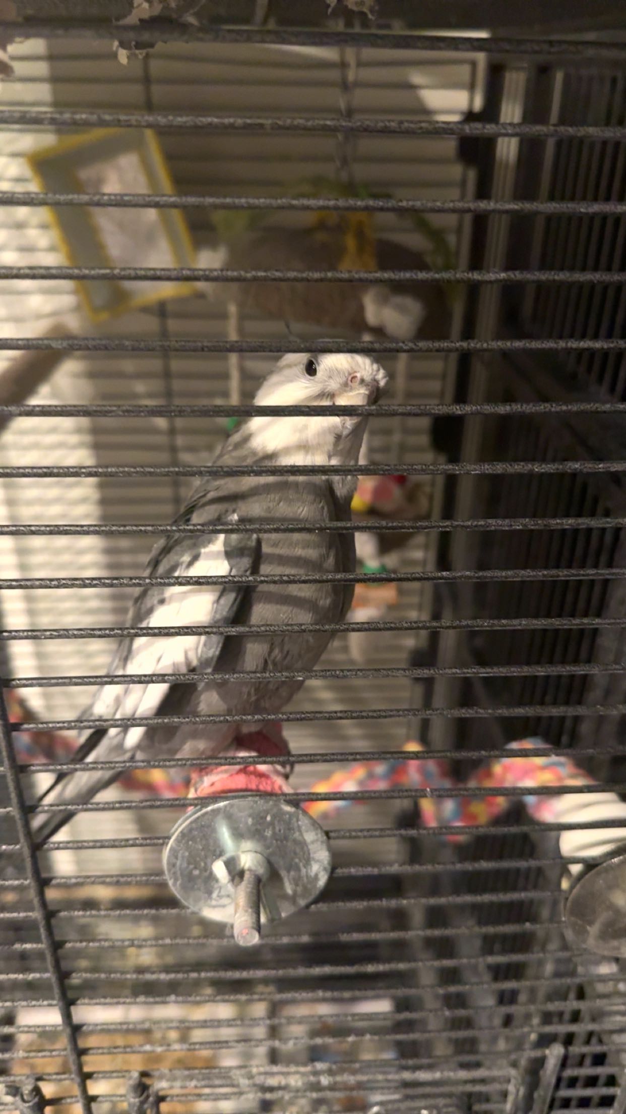 syd.shmitty snapchat image archive image