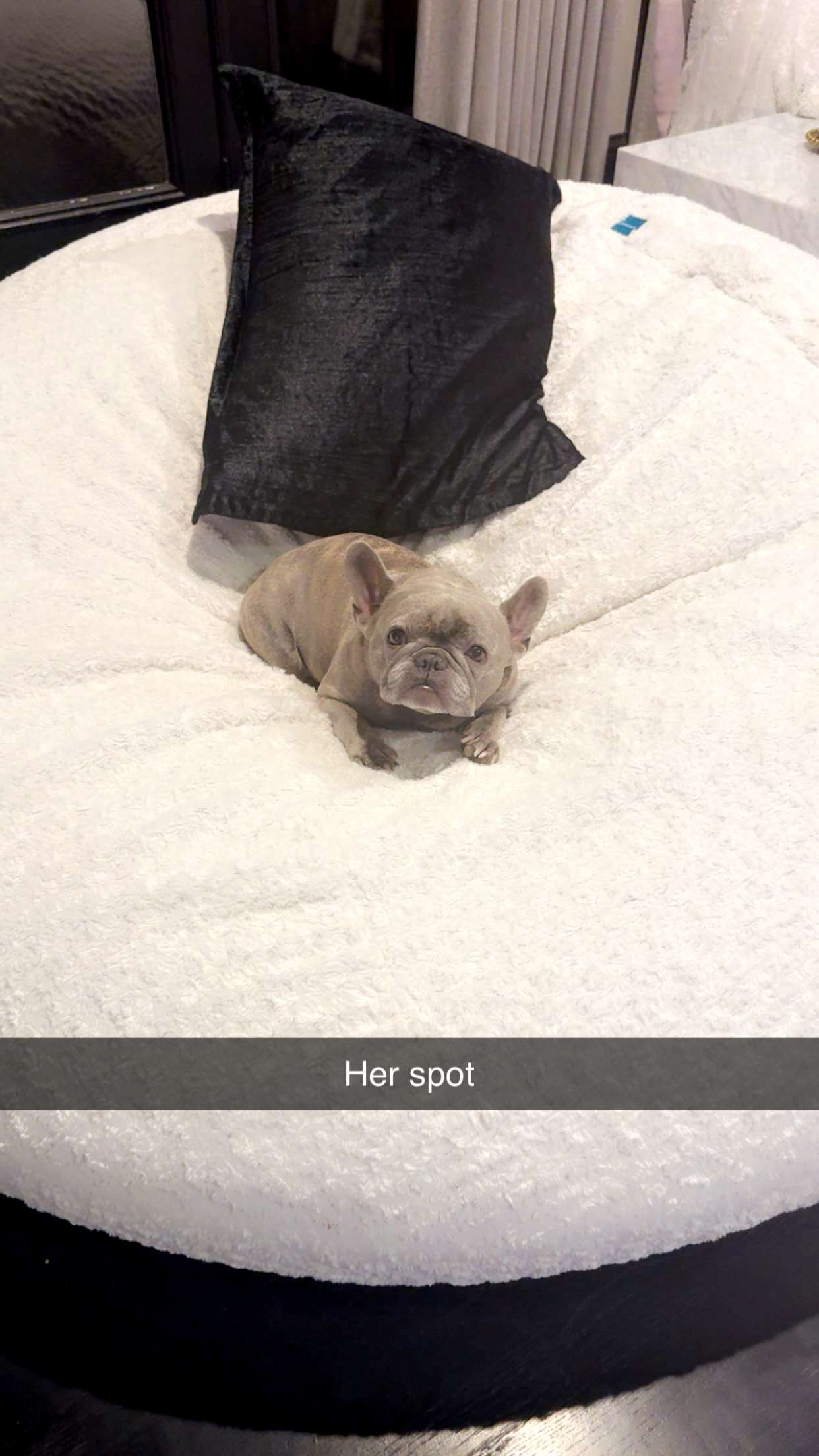 syd.shmitty snapchat image archive image