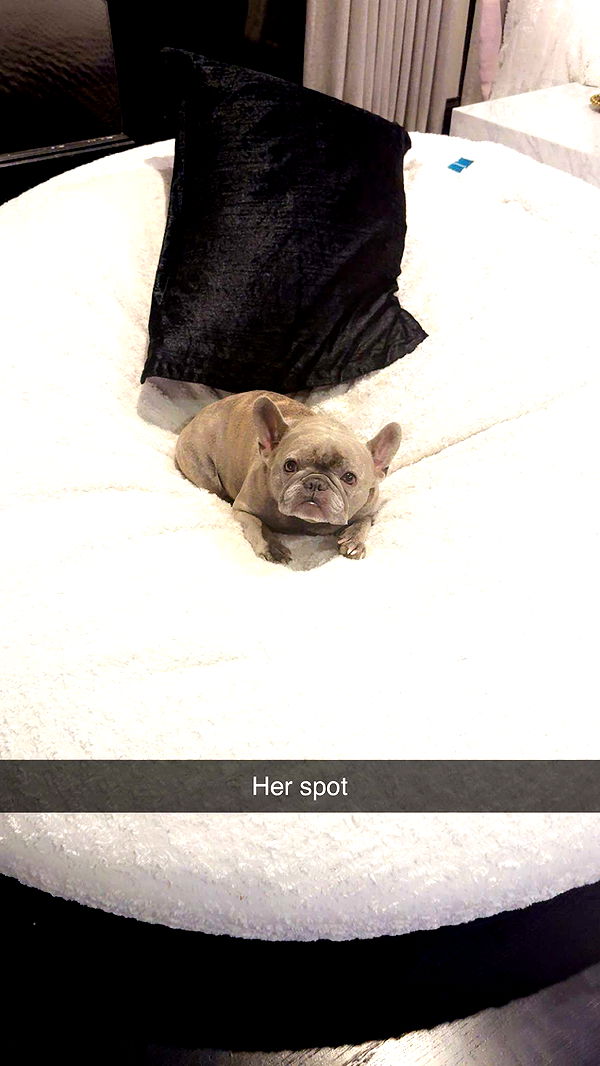 syd.shmitty image ~ Altpins