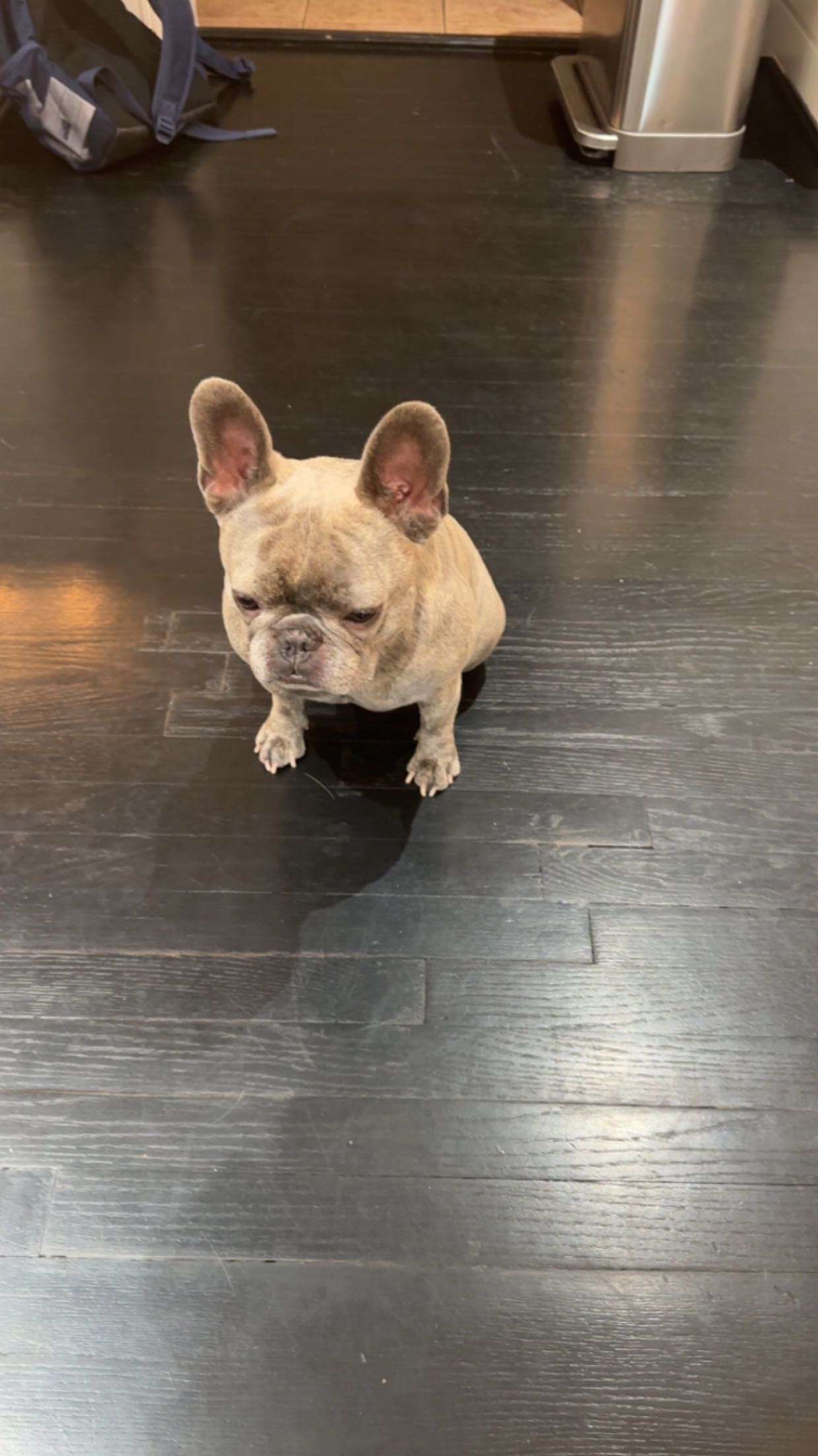 syd.shmitty snapchat image archive image