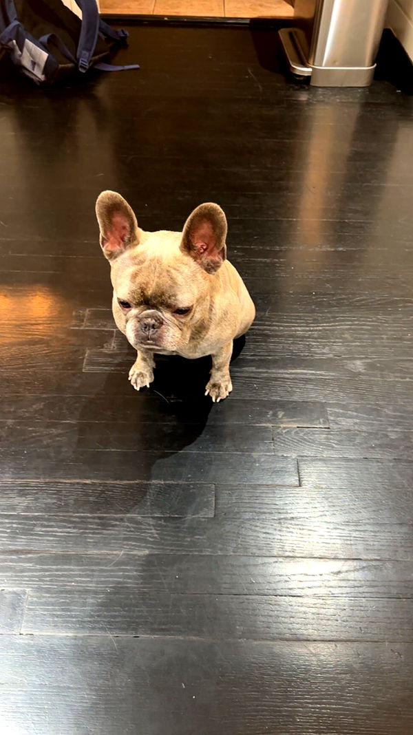 syd.shmitty image ~ Altpins